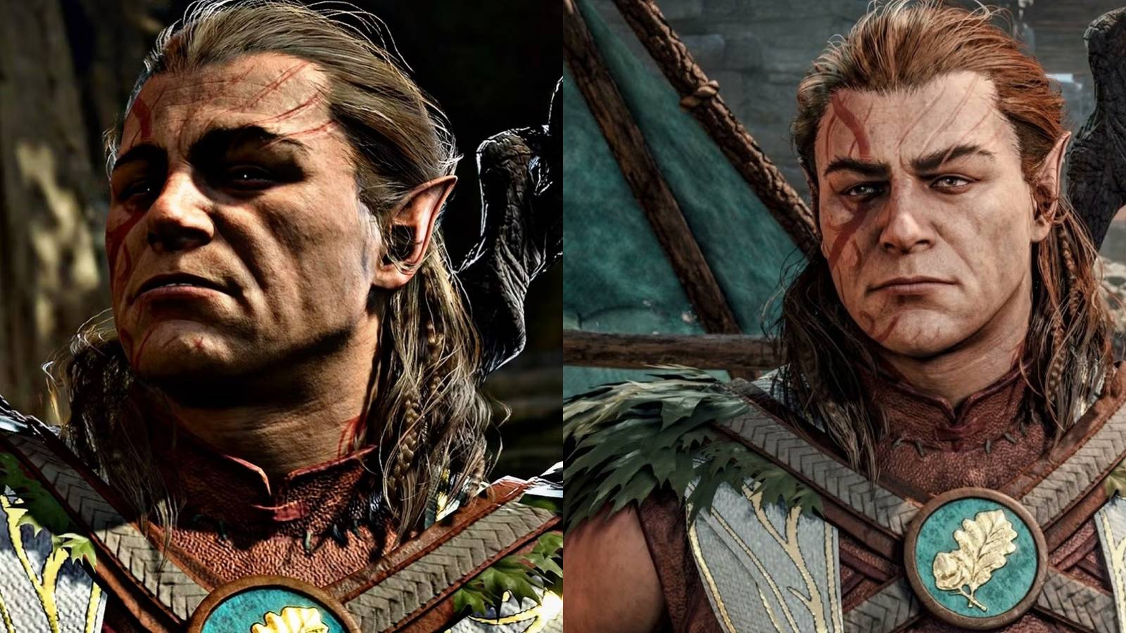 Halsin best build companion class race baldur's gate 3 bg3