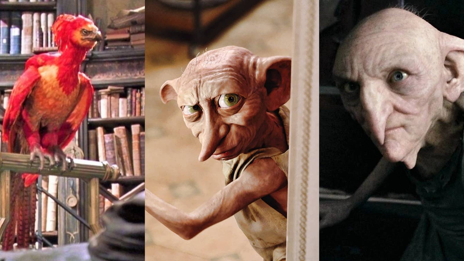 Feature Image of Harry Potter 7 Non-Human Characters, Ranked