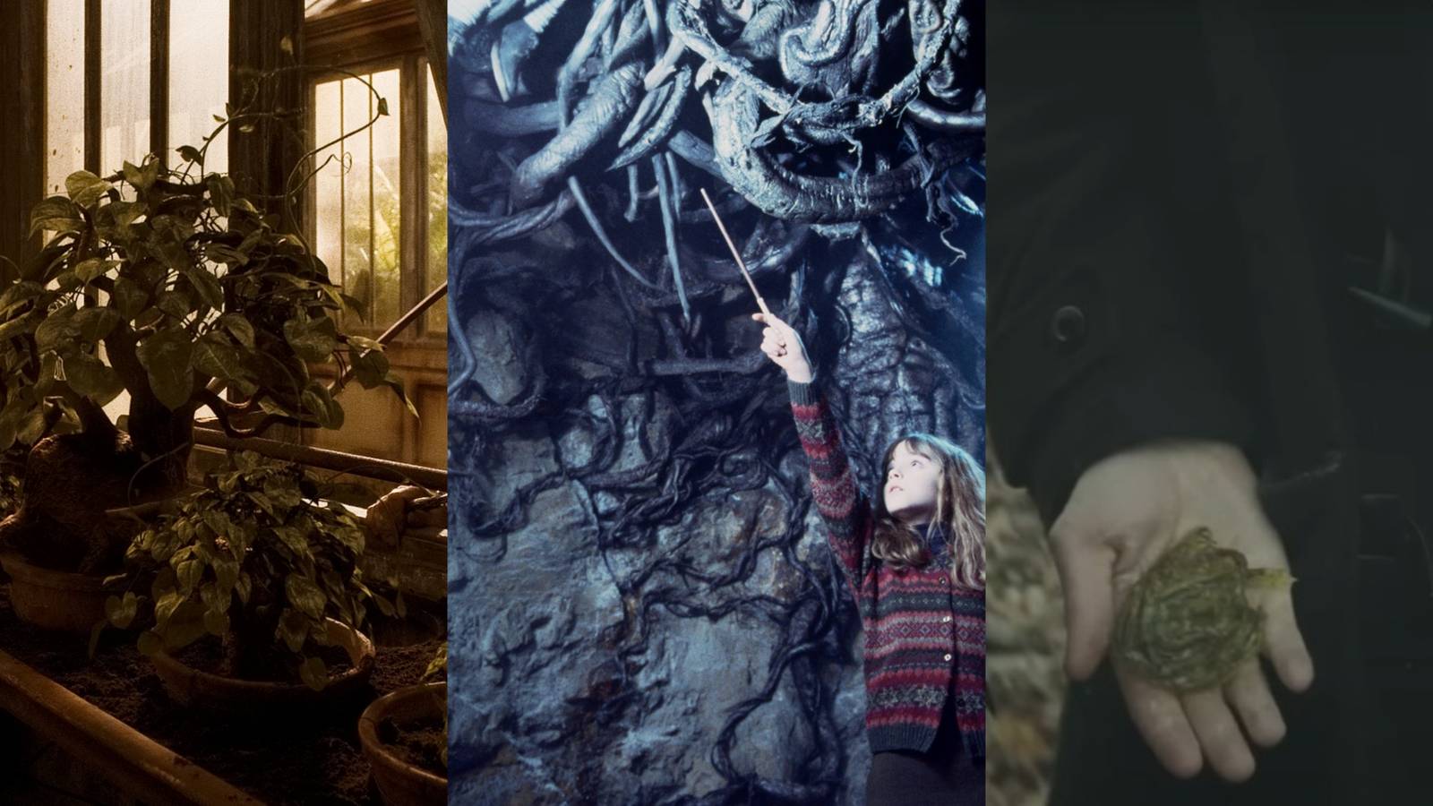 Gurdyroot Powerful Magical Plants In Harry Potter