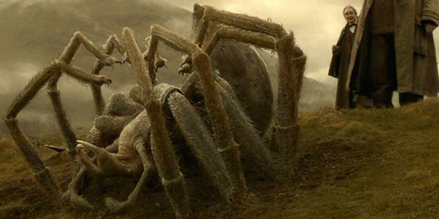 An image of Harry Potter: Acromantula