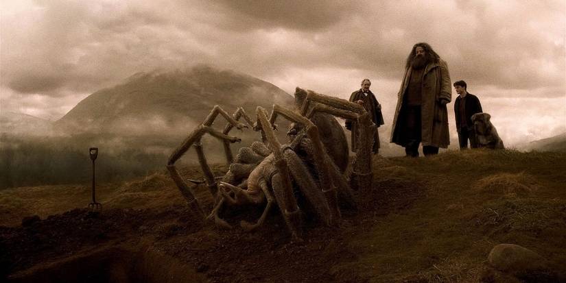 An image of Harry Potter: Aragog