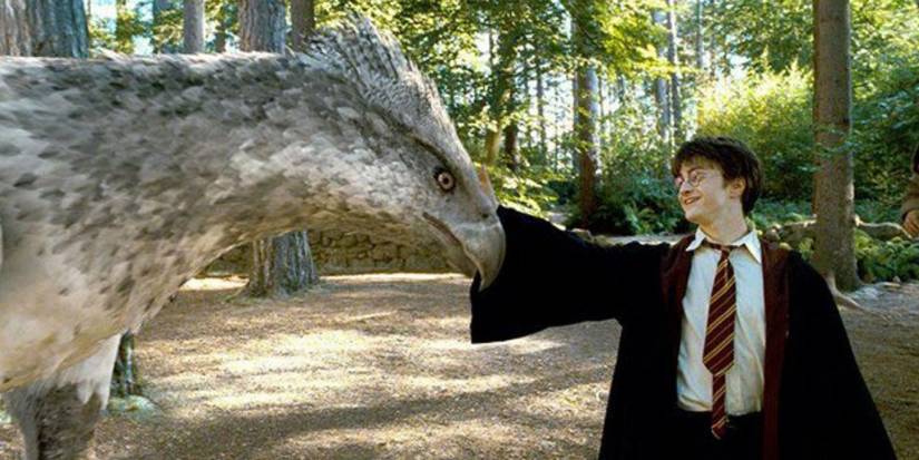 An image of Harry Potter: Buckbeak