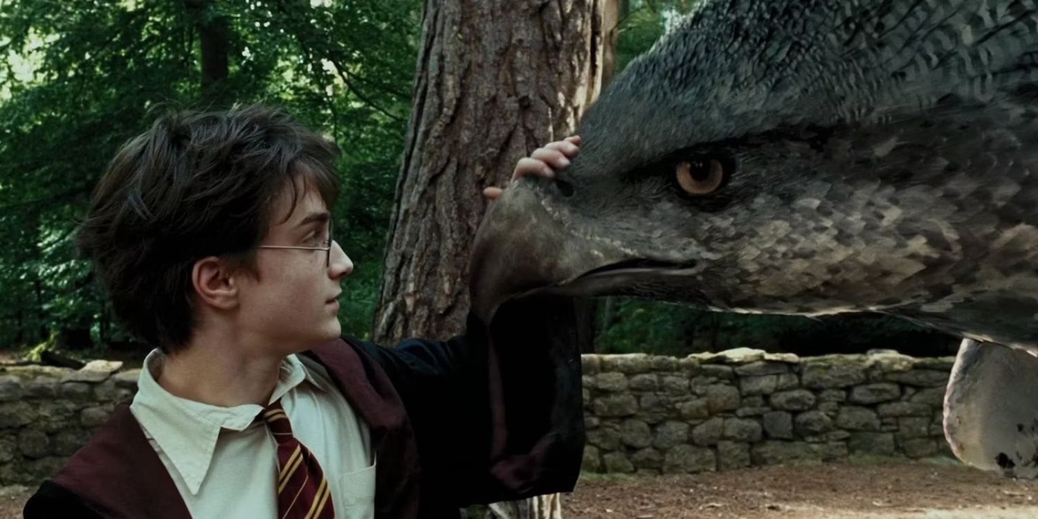 An Image of Harry Potter: Care of Magical Creatures