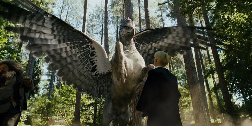 An Image of Harry Potter: Draco Buckbeak
