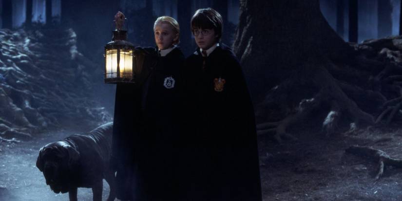 An image of Draco and Harry in the Forbidden Forest