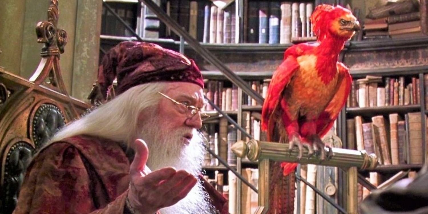 An image of Harry Potter: Fawkes