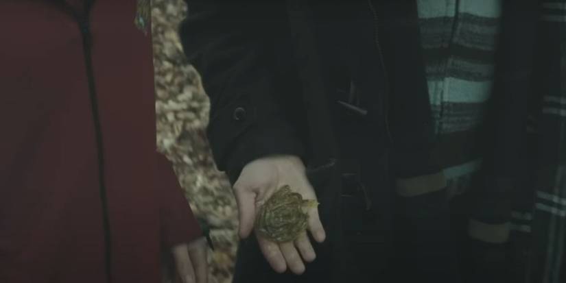 An Image of Harry Potter: Gillyweed