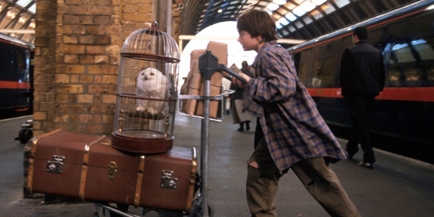An image of Harry Potter: Hedwig