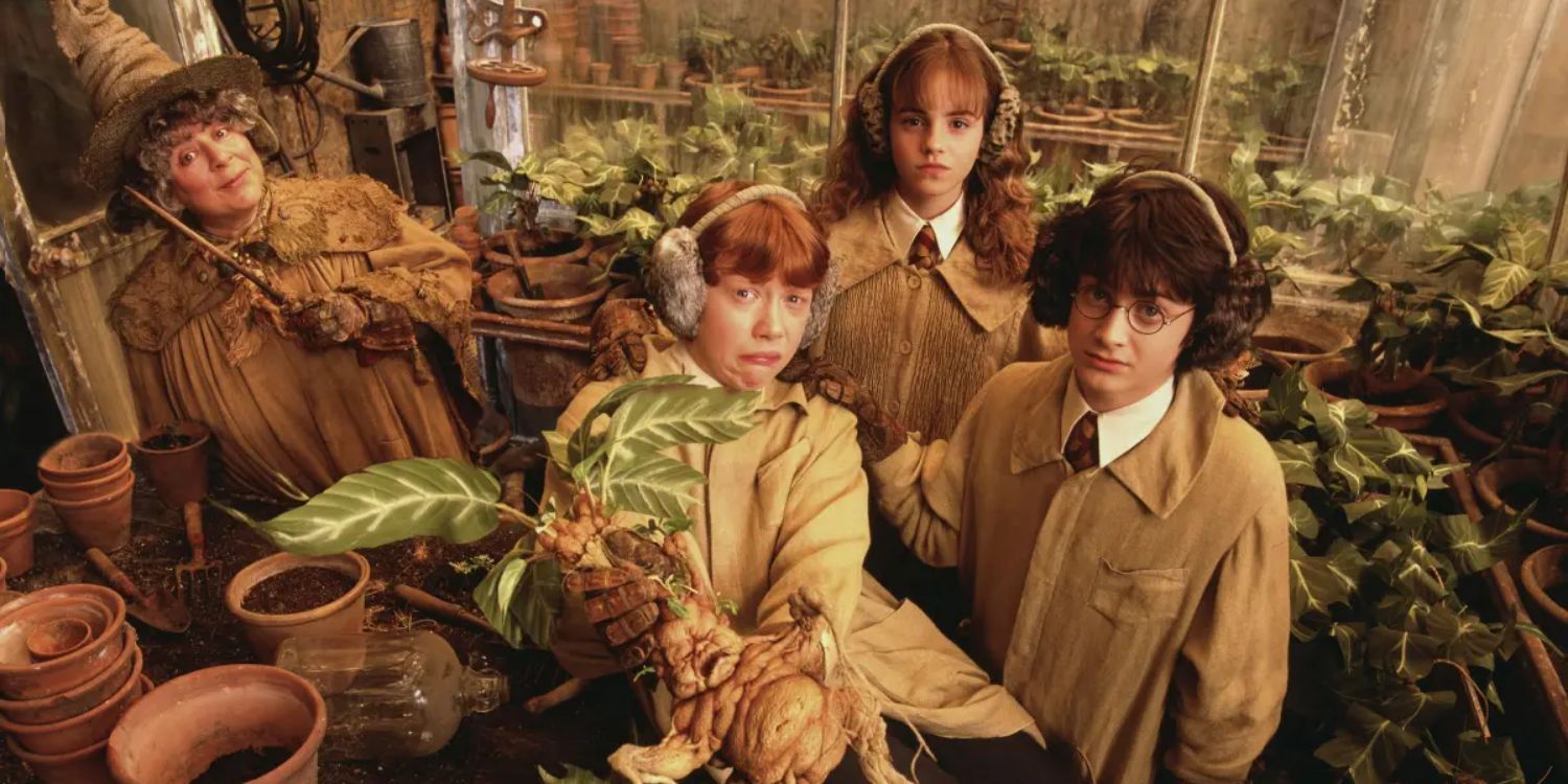 An Image of Harry Potter: Herbology