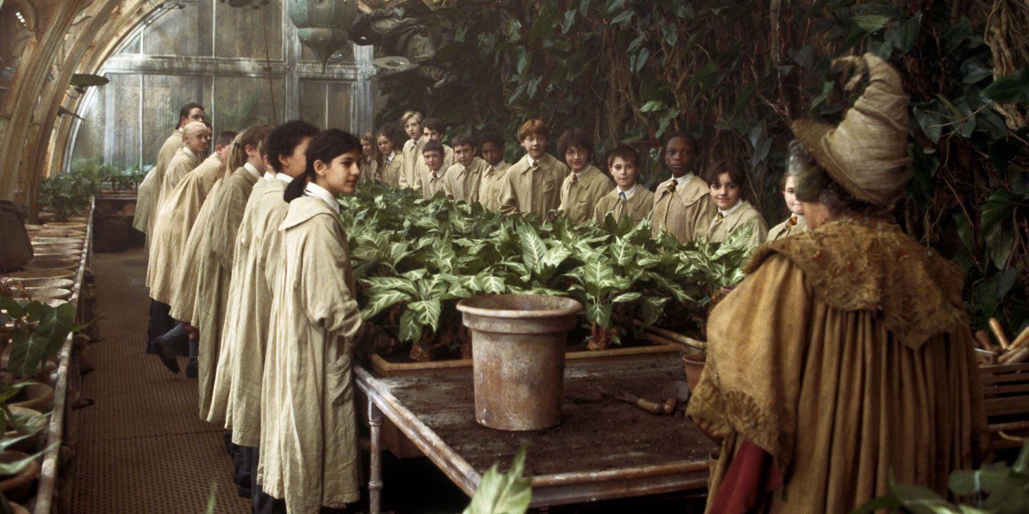 Uma imagem de Harry Potter: Herbologista