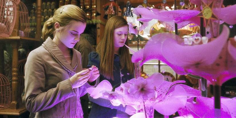 An image of Harry Potter: Love Magic