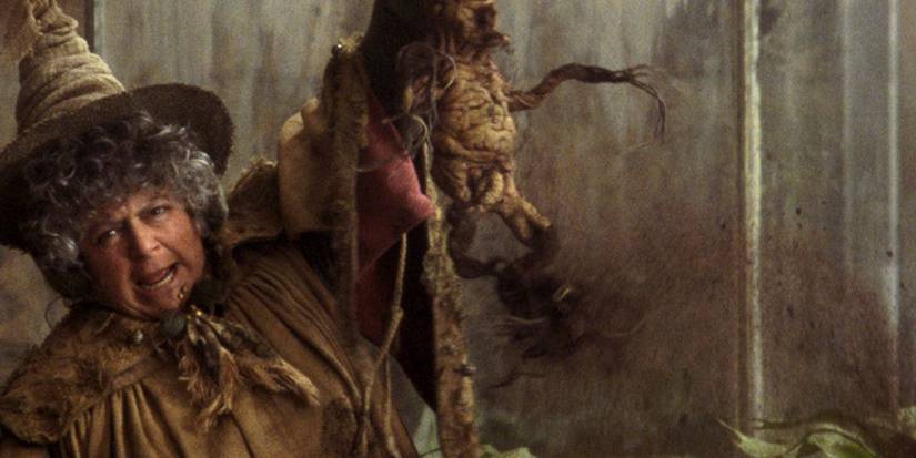 An Image of Harry Potter: Mandrakes