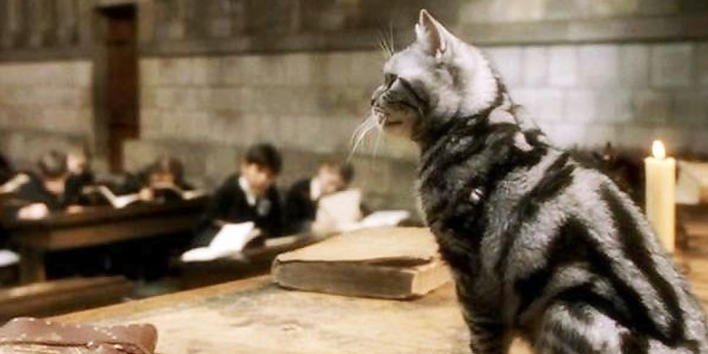 harry potter mcgonagall cat