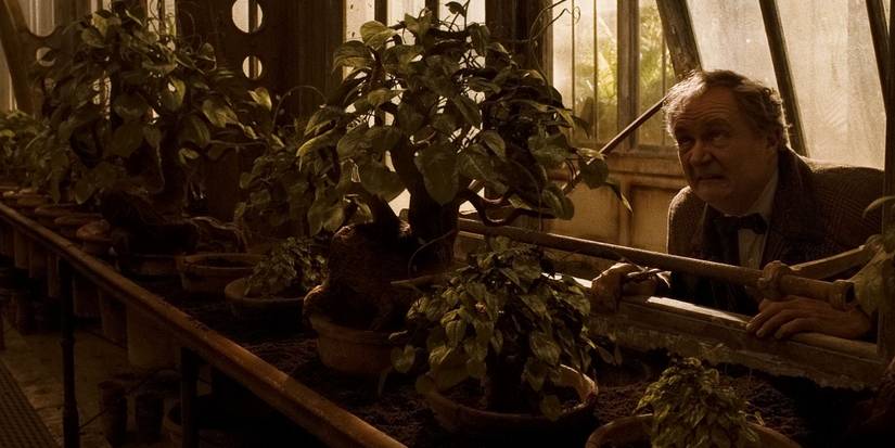 An Image of Harry Potter: Venomous Tantacula