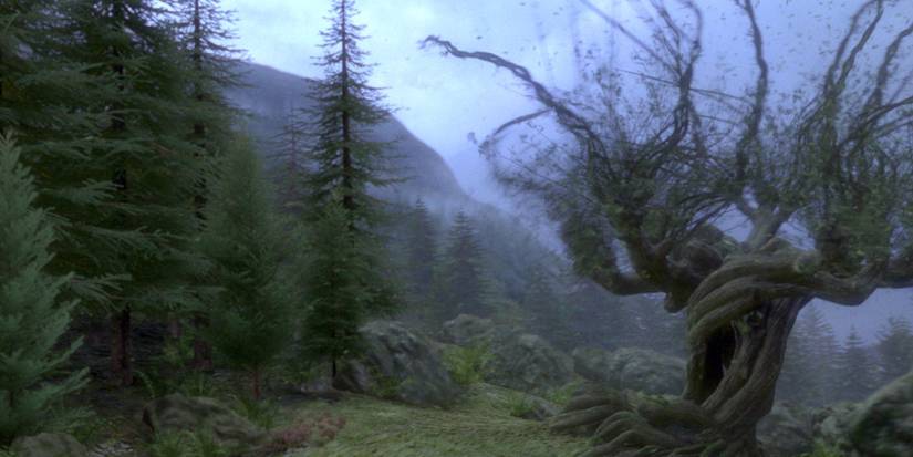 An Image of Harry Potter: Whomping Willow