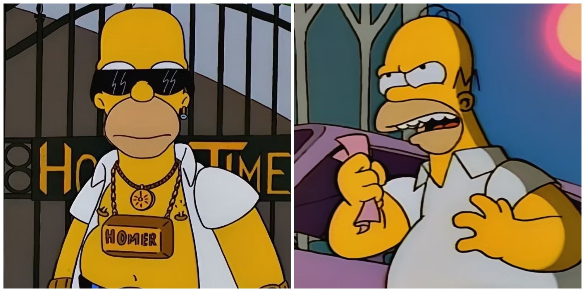 Homer in The Simpsons