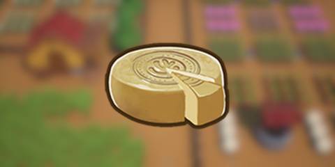 Goat Cheese Wheel in Coral Island