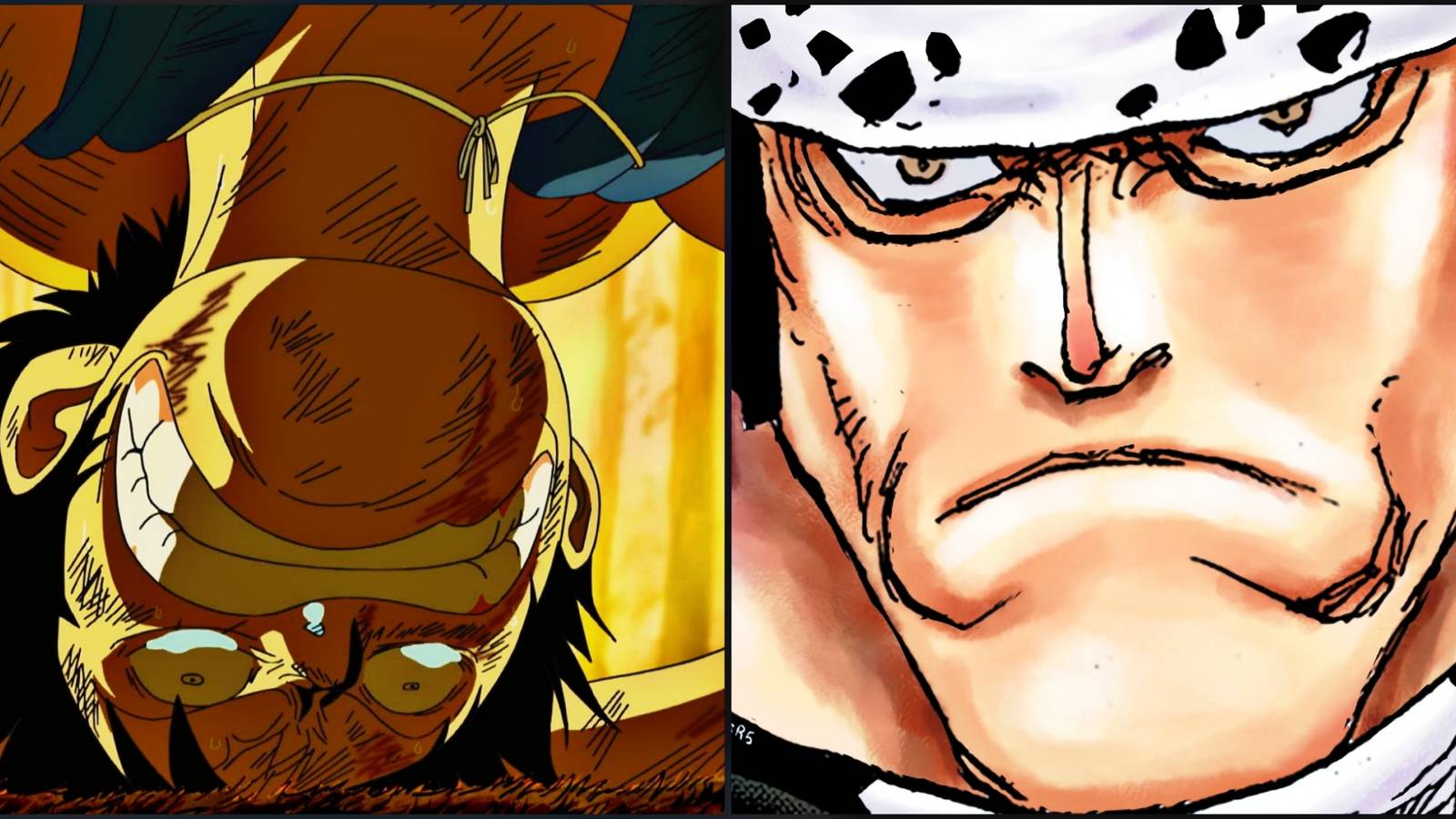 Kuma Split Straw Hats Sabaody