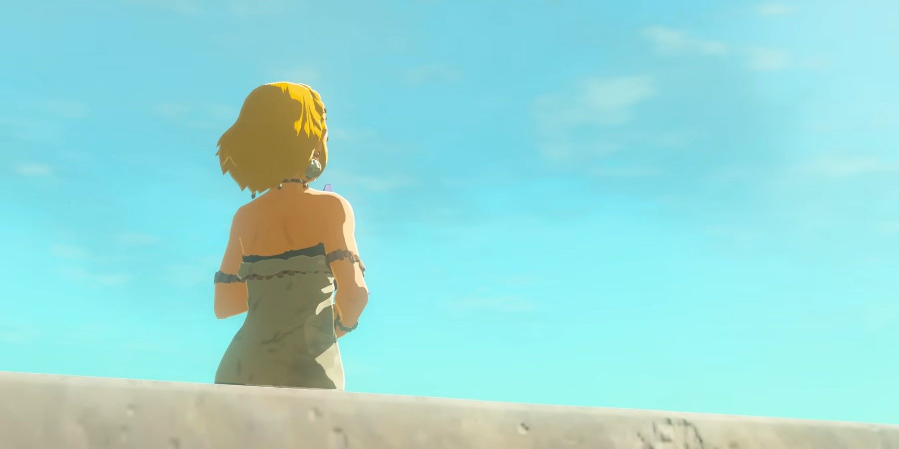 Zelda Player Shows Off Tears of the KingdomThemed Christmas Tree