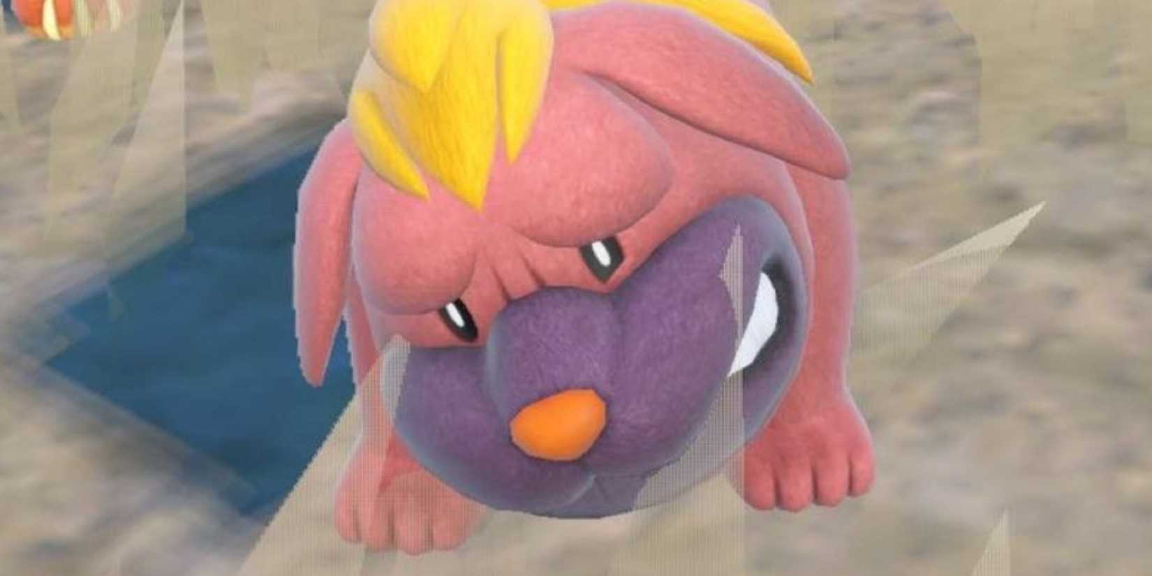 Maschiff scowling in tall grass