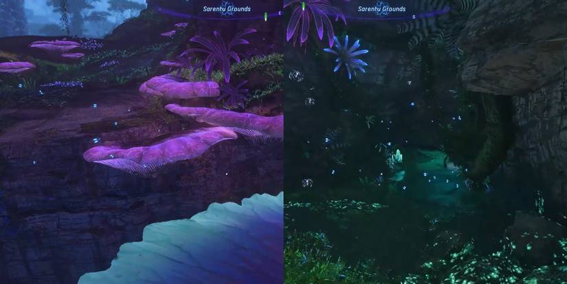 meet teylan at the top of the cliff avatar fop frontiers of pandora