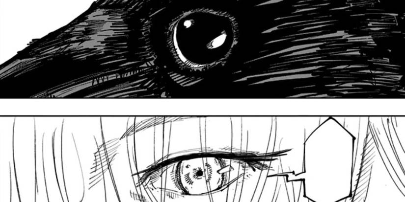 Mei Mei Black Bird Manipulation