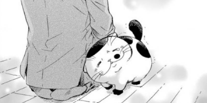 Middle-Aged Manga- A Man and His Cat