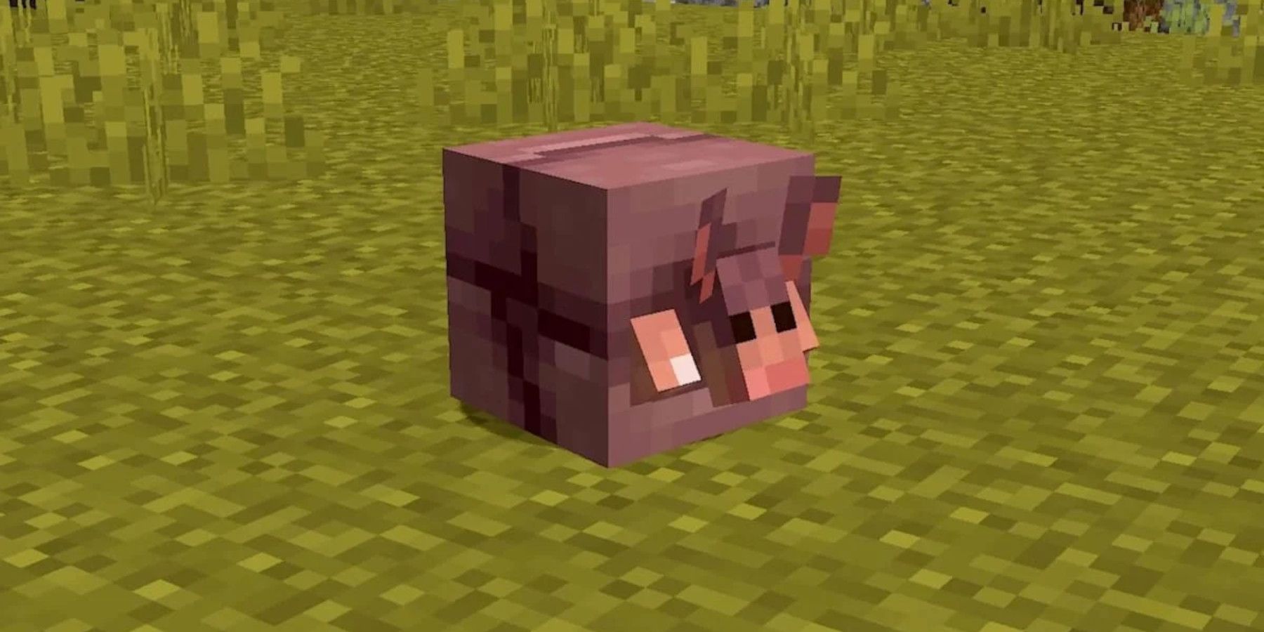 Minecraft Armadillo