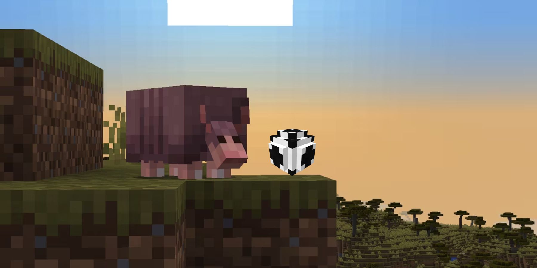 Minecraft Players Are Using Armadillos as Soccer Balls