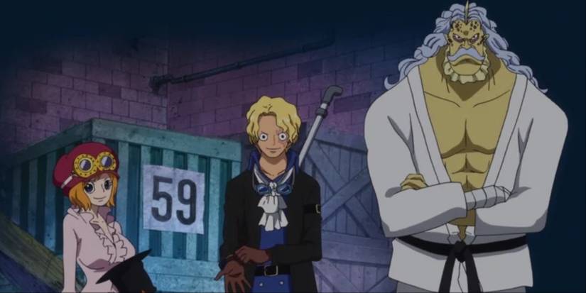 Sabo meeting with Koala & Hack in One Piece's Dressrosa Arc