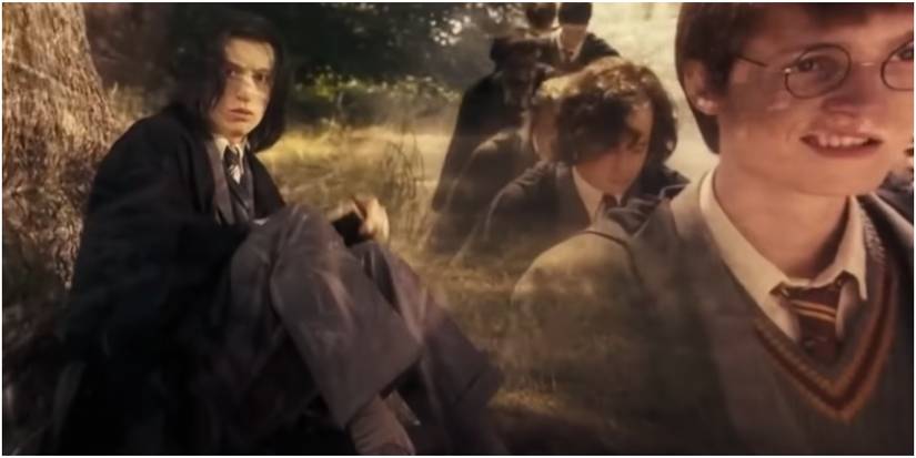 Harry witnesses Snape's Worst Memory in Harry Potter.