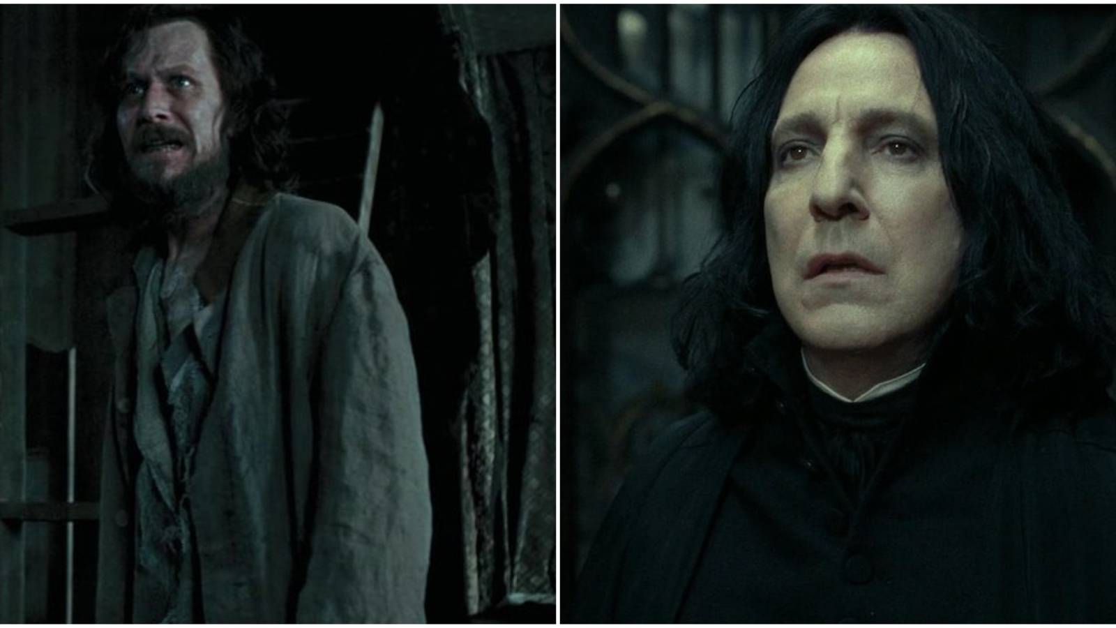 Split image of Sirius Black and Severus Snape in Harry Potter.