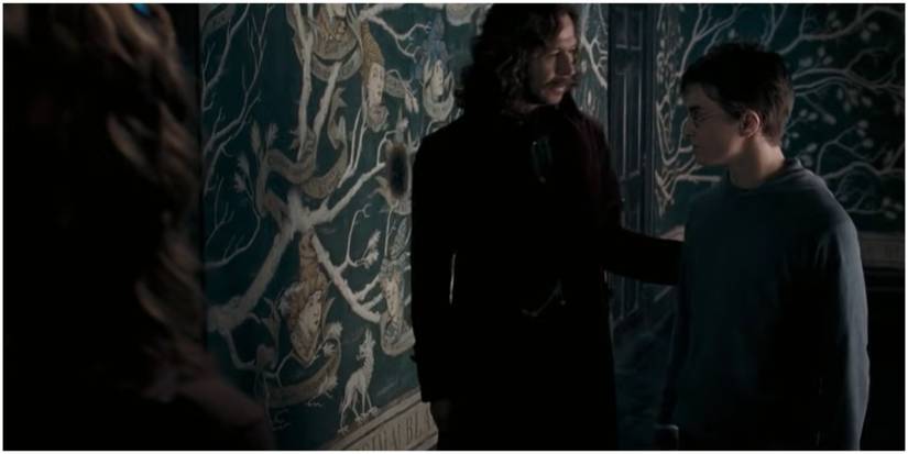 Hermione watches Sirius talk to Harry in Harry Potter and the Order of the Phoenix.