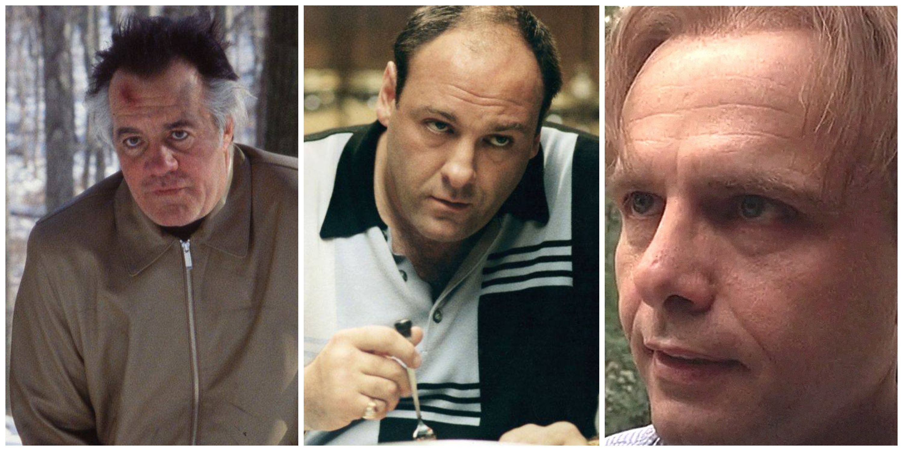 The Sopranos Season 3 Ending, Explained