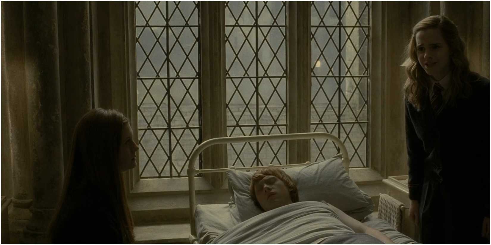 Ginny and Ron Weasley and Hermione Granger in Harry Potter and the Half-Blood Prince.