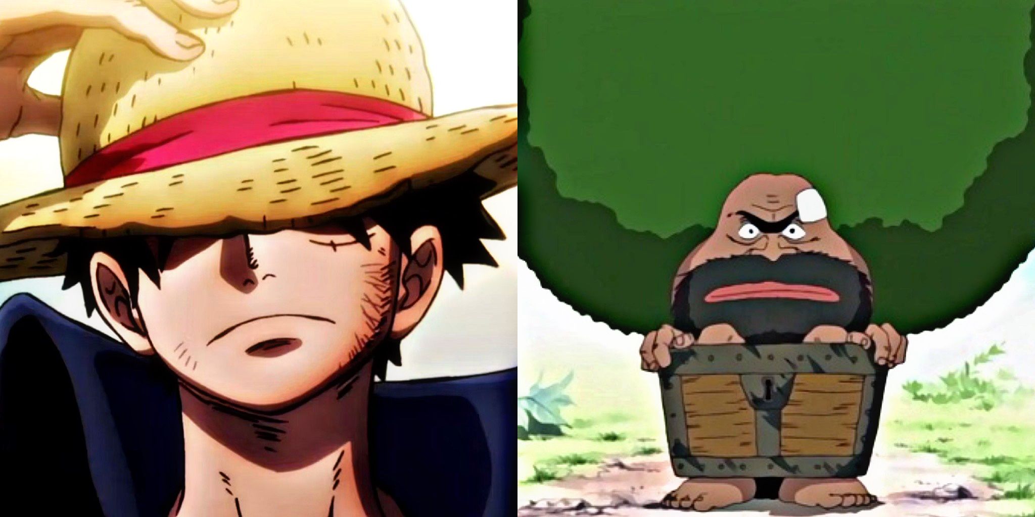 One Piece Characters Who Refused To Join The Straw Hat Pirates