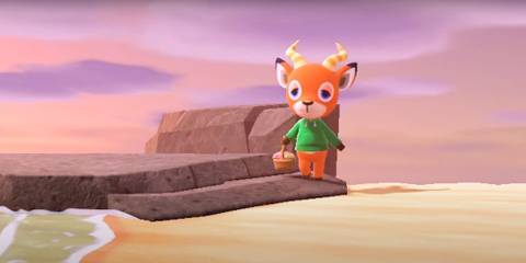  Beau holding a basket and wandering around the beach