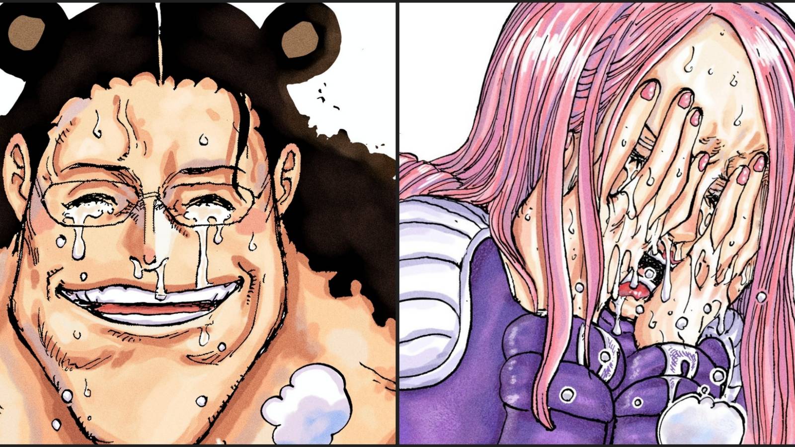 One piece 1102 Review