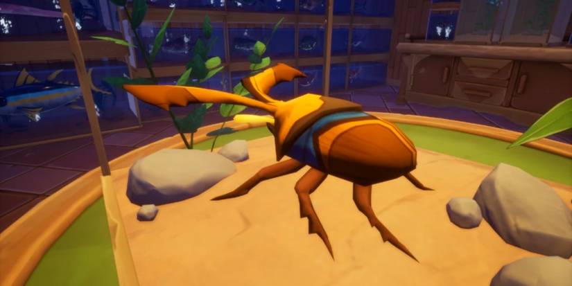 Palia Ancient Amber Beetle