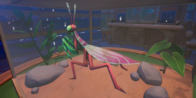 Palia Fairy Mantis