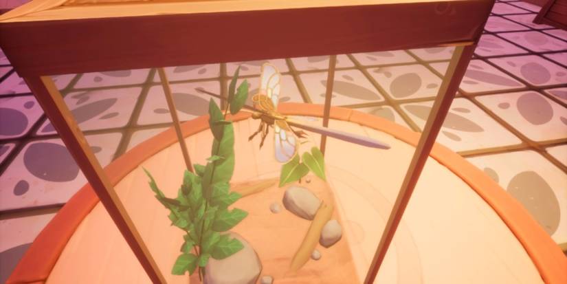 Palia Jewelwing Dragonfly