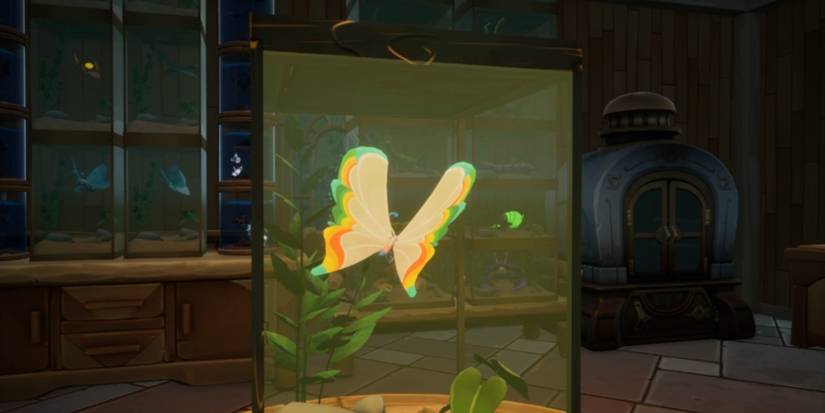 Palia Rainbow-Tipped Butterfly