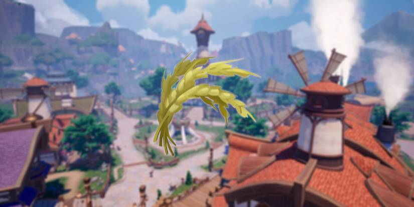 Palia rice center focus with blurry town background