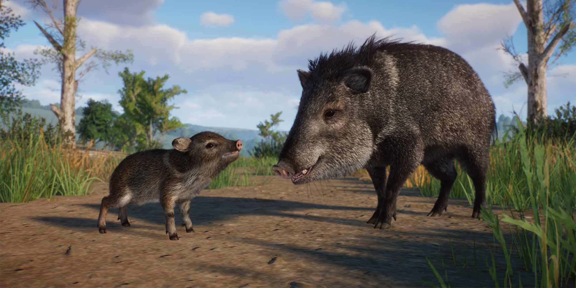Planet Zoo Collared Peccary