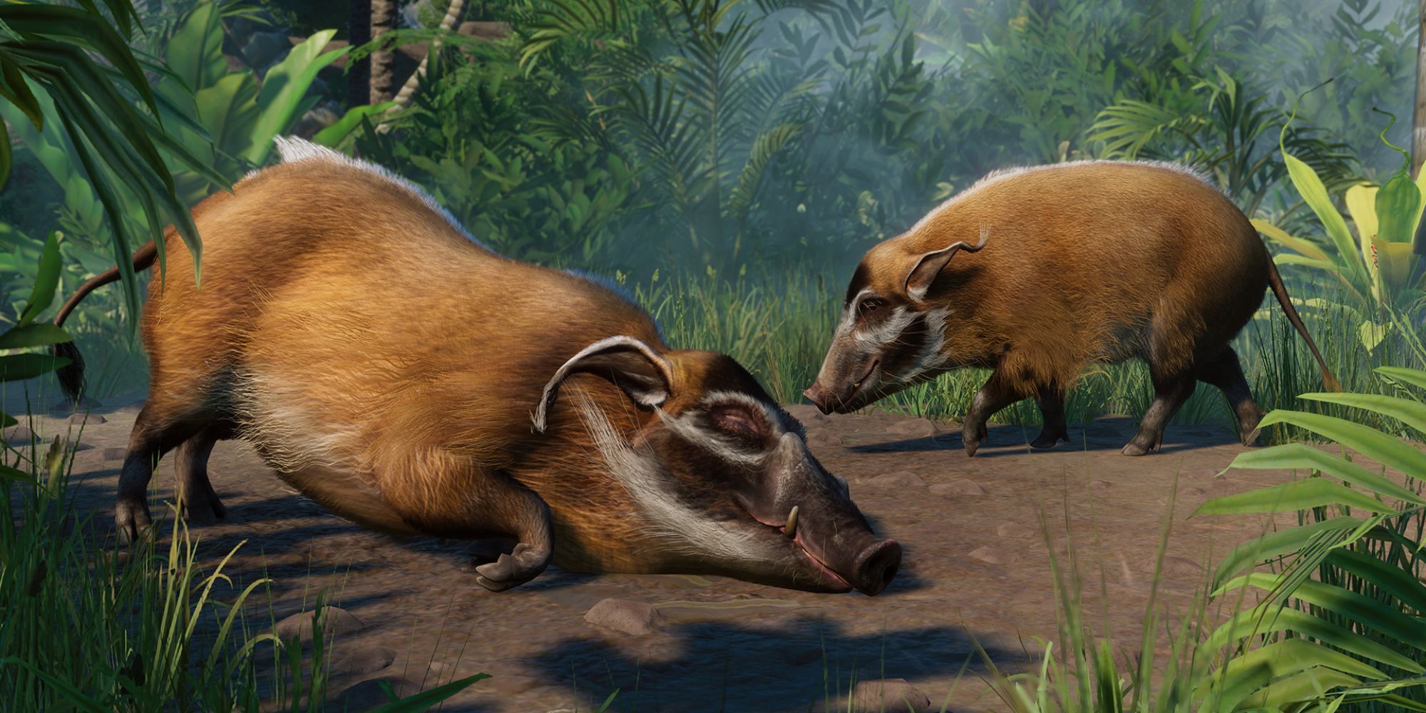 Two Red River Hogs in Planet Zoo