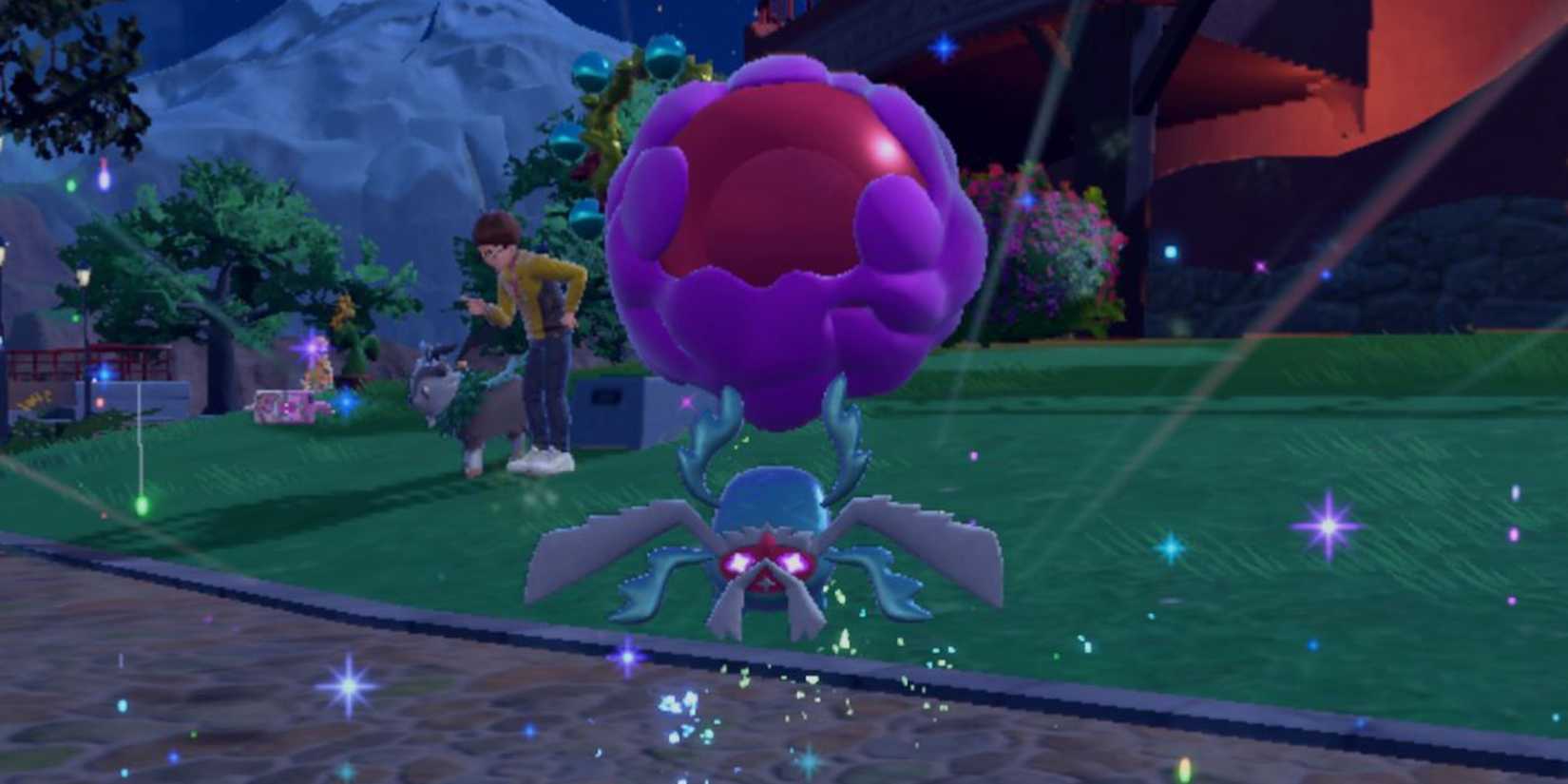 Rabsca after evolving at night