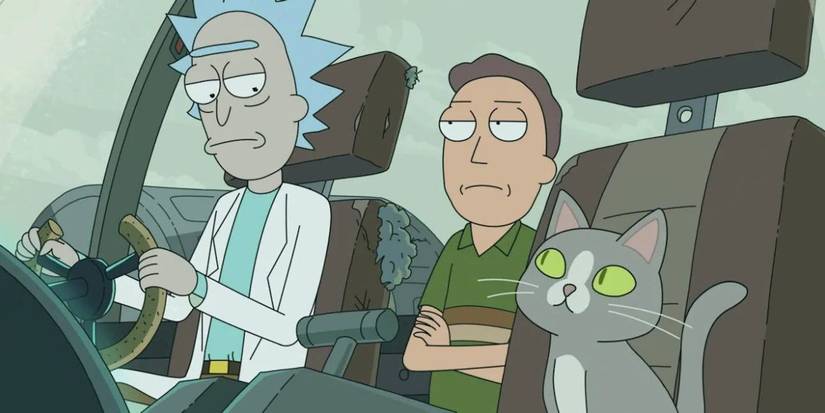 rick-jerry-talking-cat-1