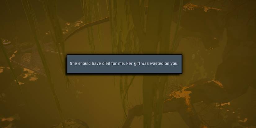 Risk of Rain 2 - Quote About The Mysterious Her