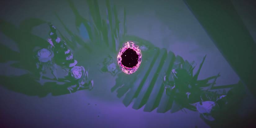 Risk of Rain 2 - Void Fields Portal In Bazaar Between Time