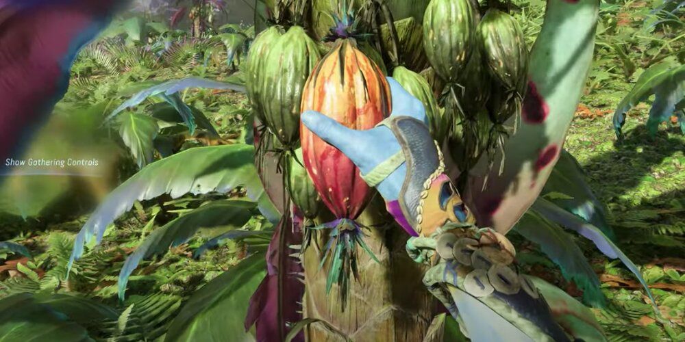 Na'avi pulling a plant from a tree in Avatar Frontiers Of Pandora